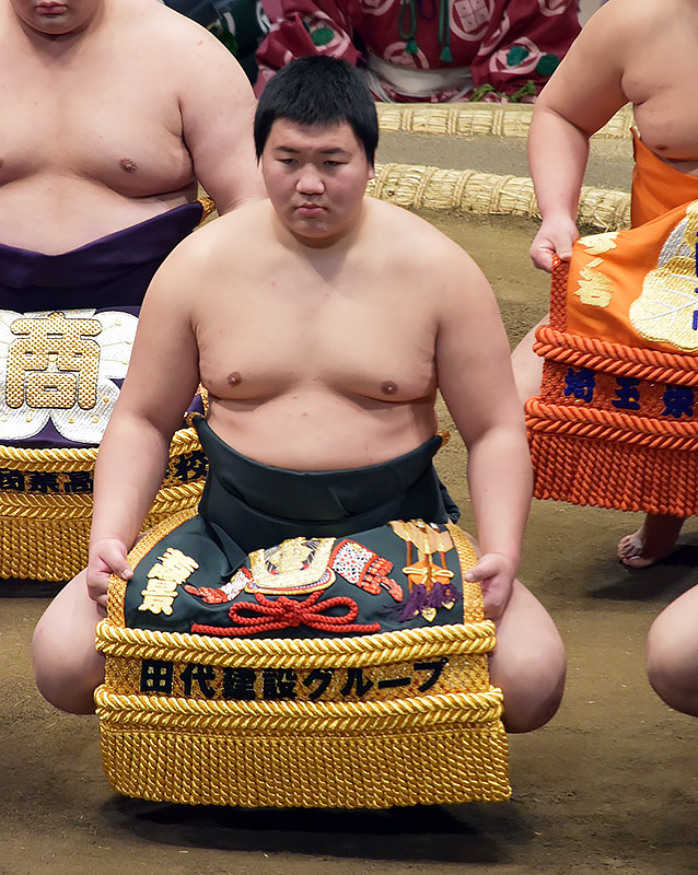 大青山大介の初土俵