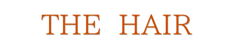 美容師とお客様のリアルトーク